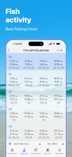 Nautide: Tides, Wind, Waves + screenshot