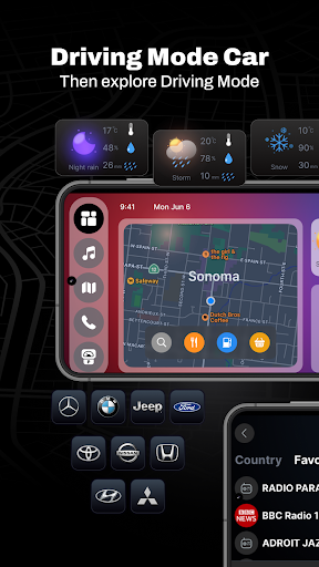 CarLink: MirrorLink & Car Play screenshot