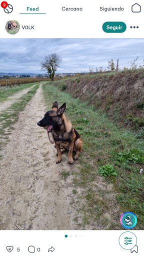 Captura de pantalla de DogPack: Parques, perros y más