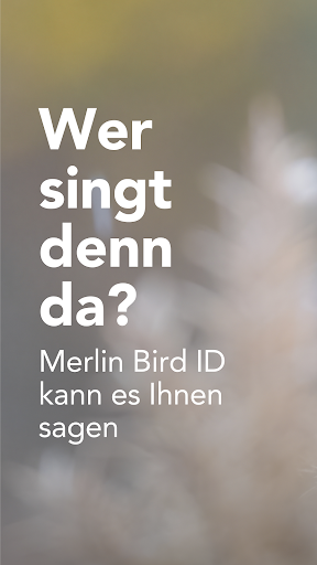 Merlin Bird ID von Cornell Lab Screenshot