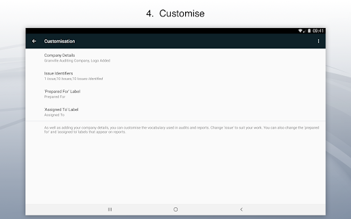 Captura de pantalla de Site Audit Pro