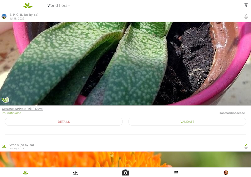 PlantNet Plant Identification screenshot