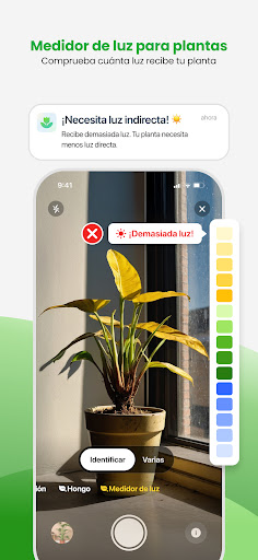 Captura de pantalla de PlantApp: Identifica plantas
