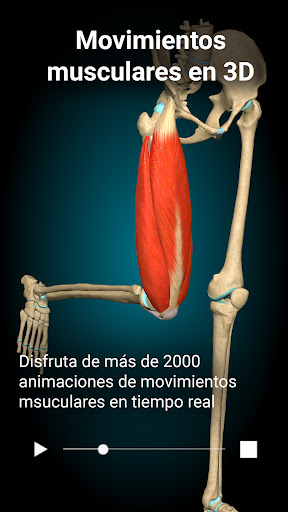 Captura de pantalla de Anatomy Learning - Anatomía 3D