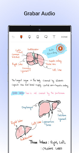Captura de pantalla de Noteshelf - Notas, Anotaciones