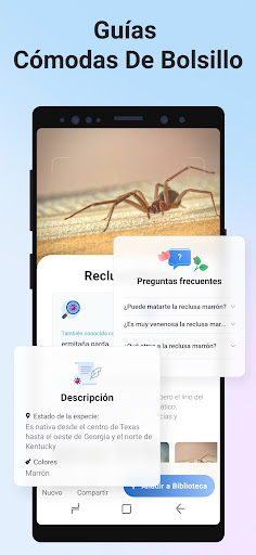 Captura de pantalla de Picture Insect - Insectos ID
