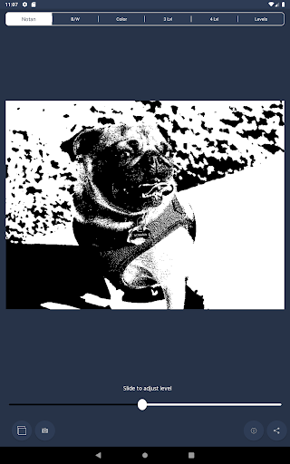 Captura de pantalla de NotanIzer