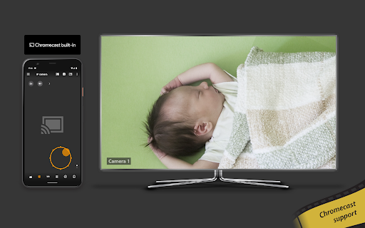 Captura de pantalla de tinyCam Monitor PRO