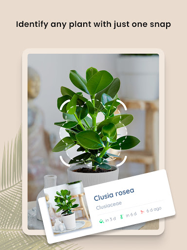 Captura de pantalla de PlantIn: Cuidado de plantas