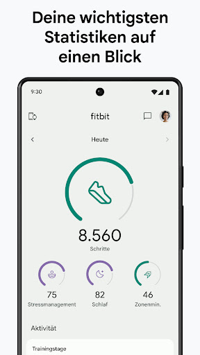 Fitbit Screenshot