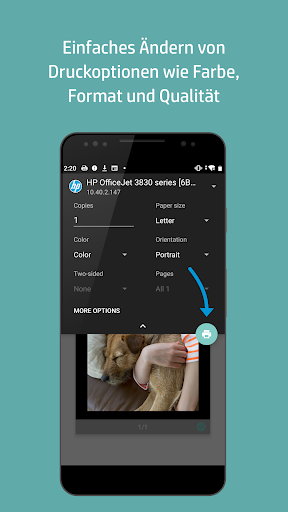 HP Druckdienst-Plug-In Screenshot