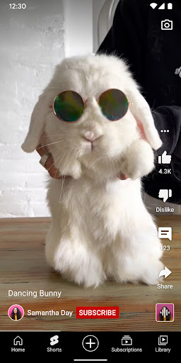 Captura de pantalla de YouTube