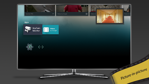 Captura de pantalla de tinyCam Monitor PRO