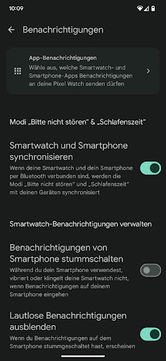 Google Pixel Watch Screenshot