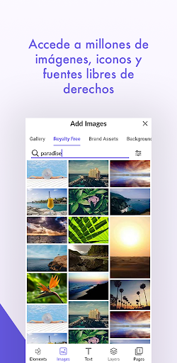 Captura de pantalla de Desygner: Diseño Gráfico Fácil