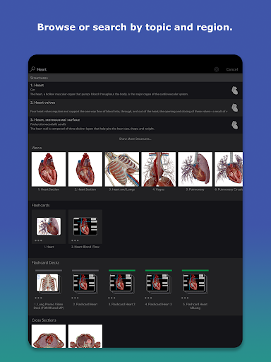 Human Anatomy Atlas 2026 screenshot