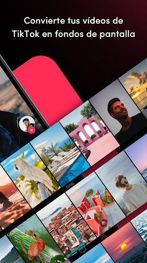 Captura de pantalla de TickTock-TikTok Live Wallpaper