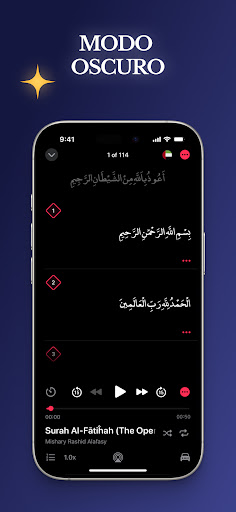 Captura de pantalla de Corán - Quran Pro