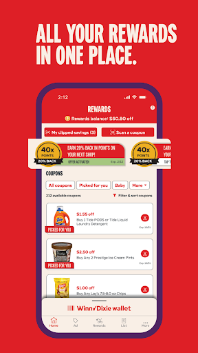 Winn-Dixie screenshot