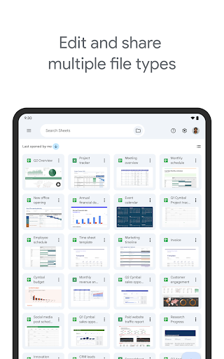 Captura de pantalla de Hojas de cálculo de Google