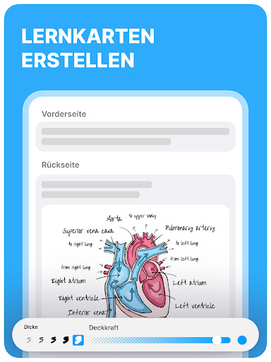 Noji: Vokabel Karteikarten Screenshot