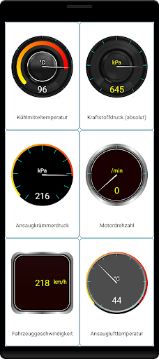 Tor OBD2 Diagnose Screenshot