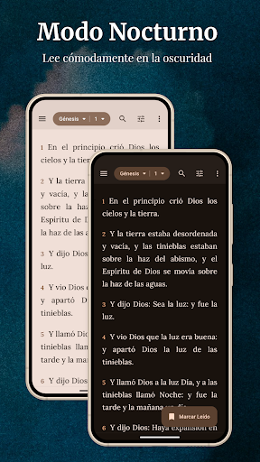 Captura de pantalla de Biblia KJV - Reina Valera