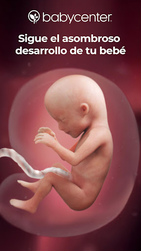 Captura de pantalla de Mi embarazo y bebé