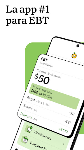 Captura de pantalla de Propel EBT (Providers)