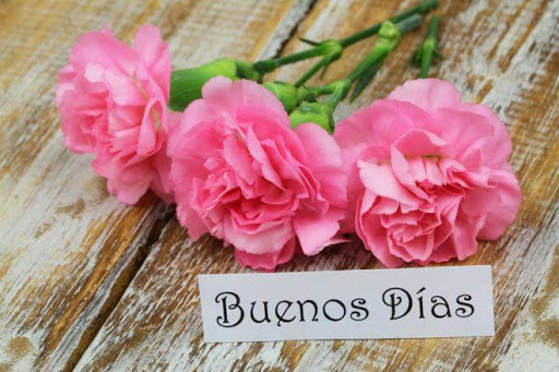Captura de pantalla de Saludos para toda ocasión