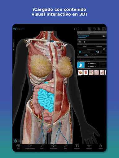 Captura de pantalla de Atlas de anatomía humana 2026