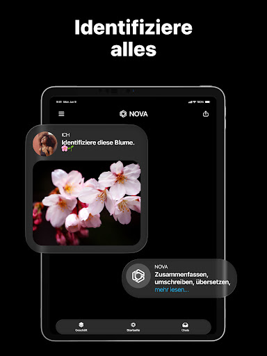 AI Chatbot - Nova Screenshot