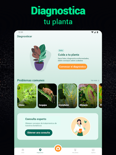 Captura de pantalla de Plantum - Identificar plantas