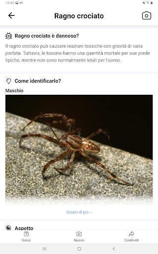 Captura de pantalla de Picture Insect - Insectos ID