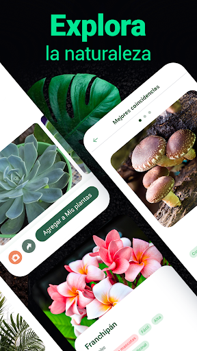 Captura de pantalla de Plantum - Identificar plantas