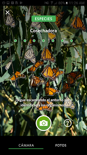 Captura de pantalla de Seek, por iNaturalist