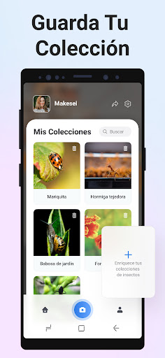 Captura de pantalla de Picture Insect - Insectos ID