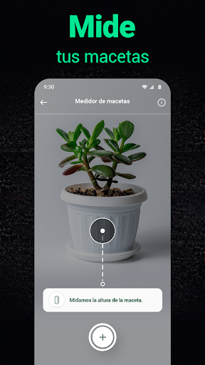Captura de pantalla de Plantum - Identificar plantas