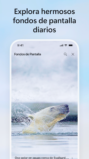 Captura de pantalla de Microsoft Bing Búsqueda