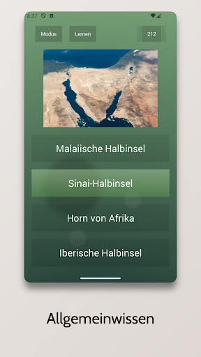Endlos-Quiz Pro Screenshot