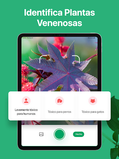 Captura de pantalla de PictureThis Identificar Planta