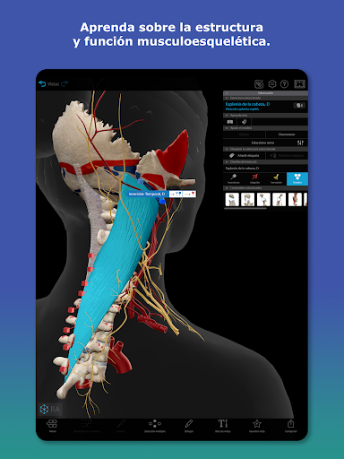 Captura de pantalla de Atlas de anatomía humana 2026