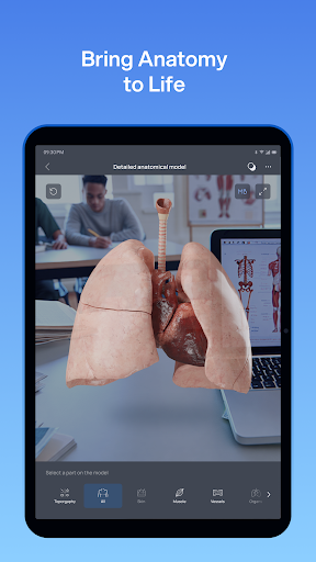 VOKA 3D Anatomy and Physiology screenshot