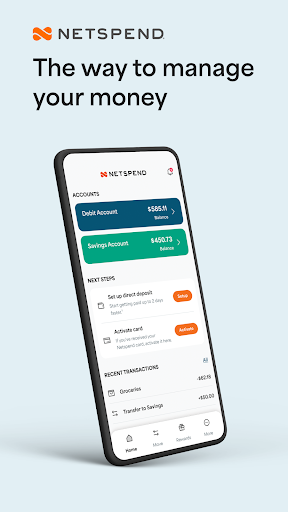 Captura de pantalla de Netspend