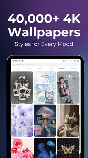 WidgetClub:Widget, Theme, Icon screenshot