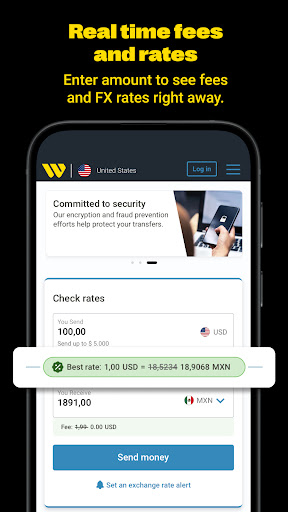 Western Union Send Money Now screenshot
