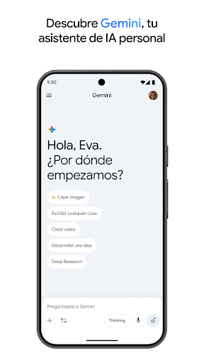 Captura de pantalla de Google Gemini