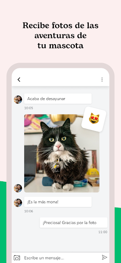 Captura de pantalla de Rover - Cuidadores de perros