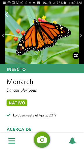 Captura de pantalla de Seek, por iNaturalist