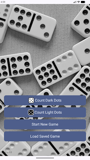 Domino Dot Counter screenshot